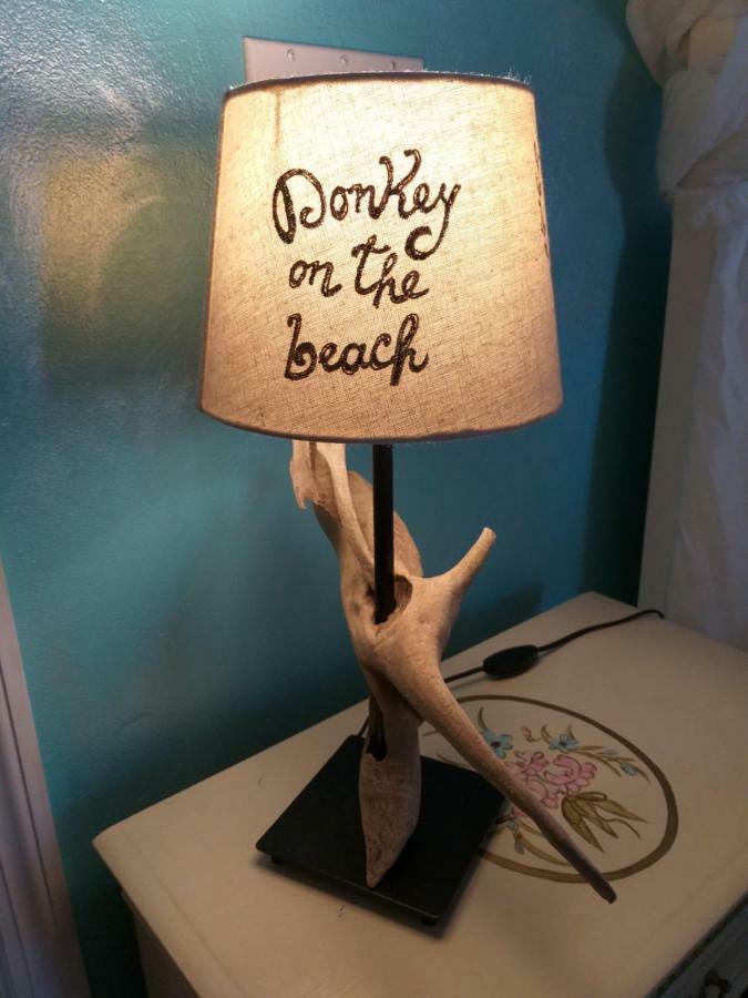 Donkey On The Beach Cobbs Cross Buitenkant foto